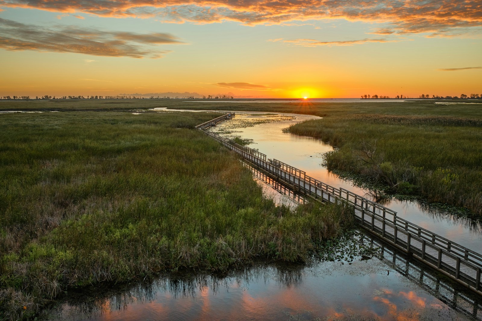 Wooden boardwalk over a marsh at sunset