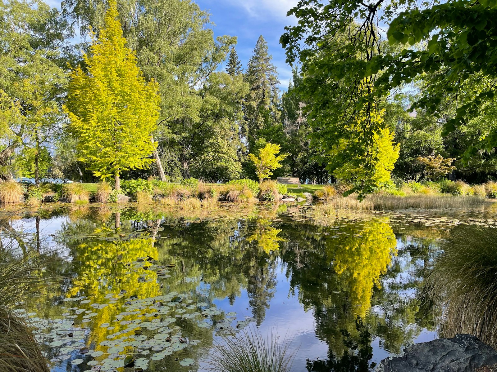 Trees with yellow leaves reflected in a calm lake